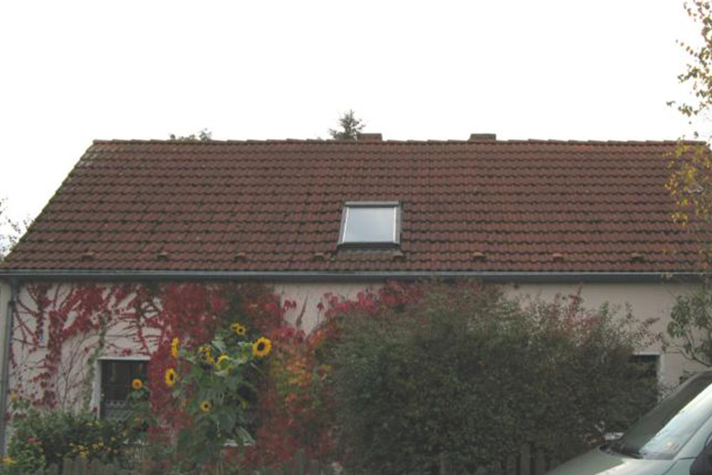 Dachfläche vor der Reinigung